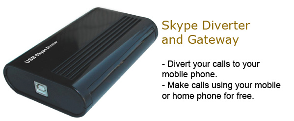 Skype video phone